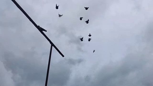 19.05.2022г. Утро, ветер до 10м/с смотреть онлайн