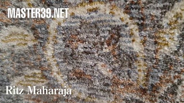 Ritz Maharaja смотреть онлайн