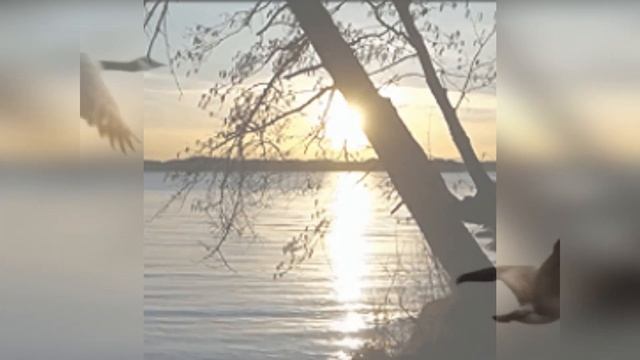 Несет меня течение смотреть онлайн