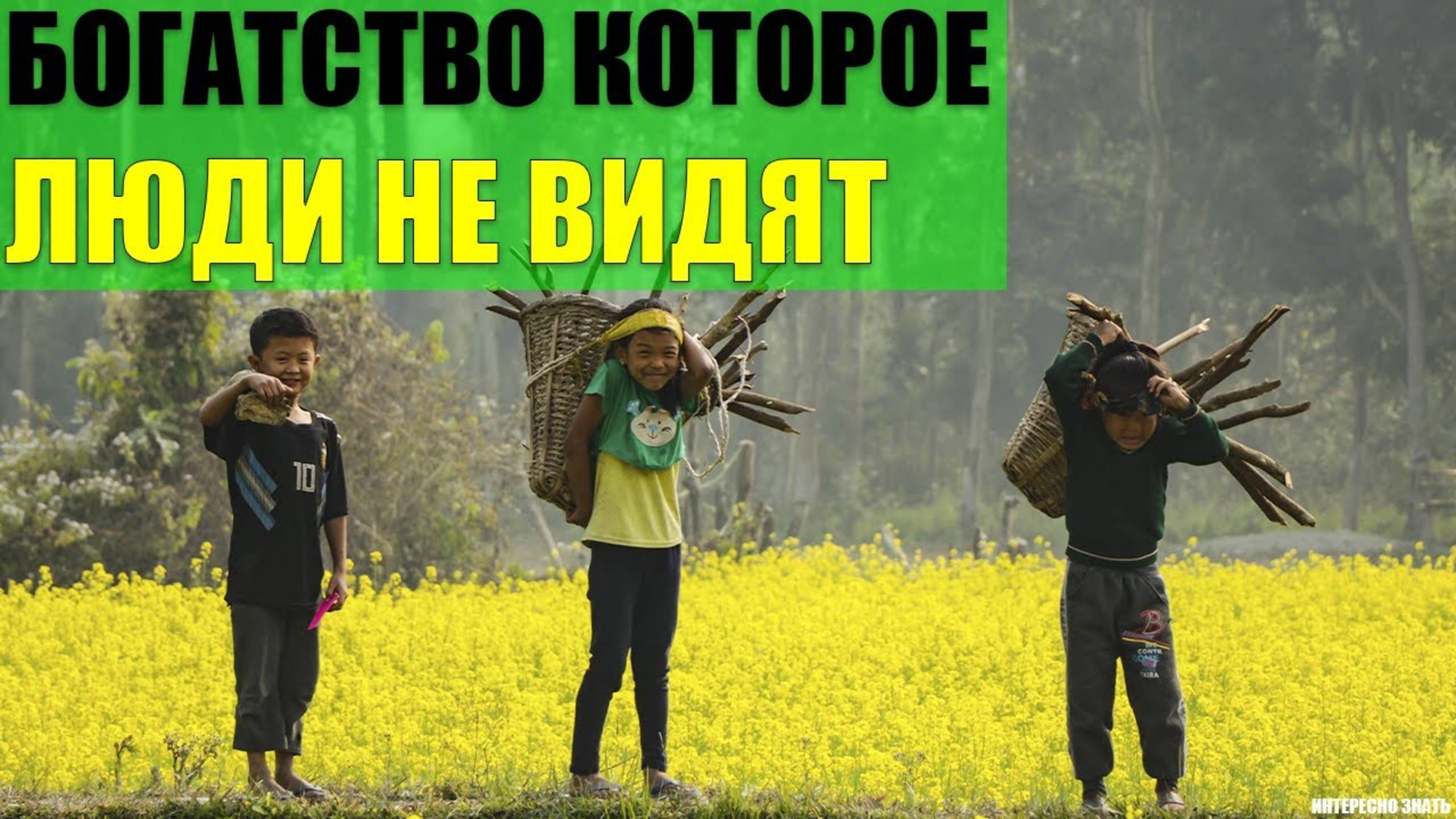 Богатство которое люди разучились видеть смотреть онлайн