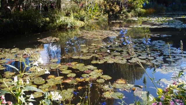 Walking With Monet смотреть онлайн