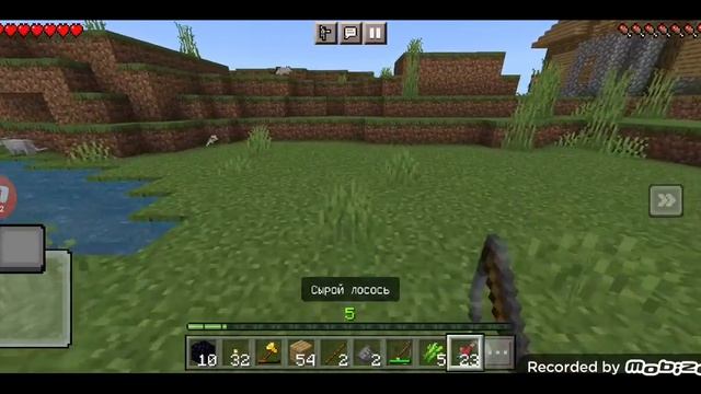 я приручила очень большое количество котов в (Minecraft) смотреть онлайн
