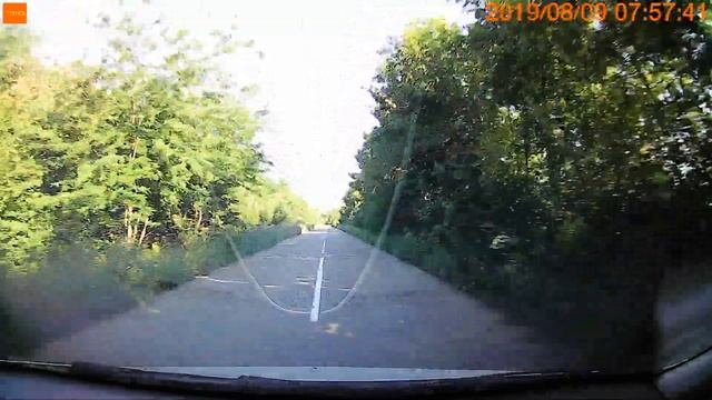 Дорога в поселок Северный зарастает травой и кустарниками смотреть онлайн