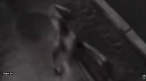 Инопланетяне в Торговом центре в Майами декабрь 2023