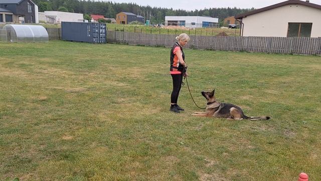 3С4М Сохранение позиции на стягивание. Лежать. смотреть онлайн