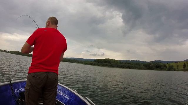 Czorsztyn Jezioro Czorsztyńskie - sandacze ZANDER смотреть онлайн