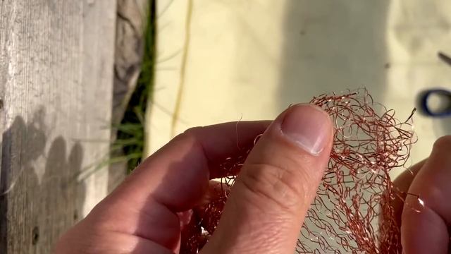 Simple $1 Dollar Slug Control - How to get rid of slugs! смотреть онлайн