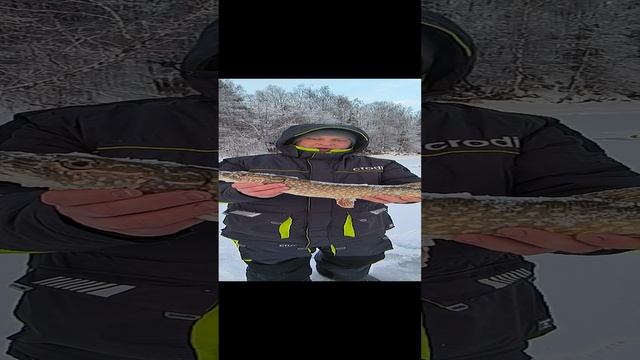 Первая щука на жерлицы 2025. смотреть онлайн