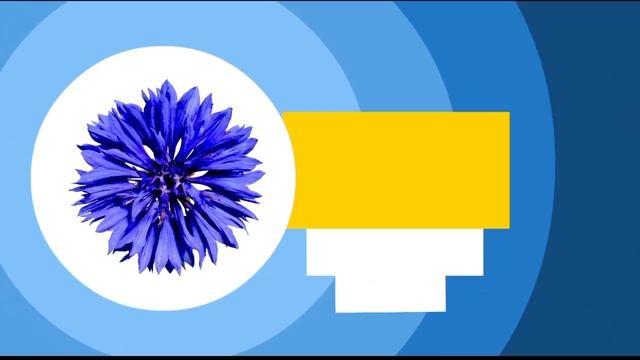 Оформление Карусель весна 2024