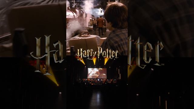 Гарри Поттер и Философский камень | Imperial Orchestra смотреть онлайн