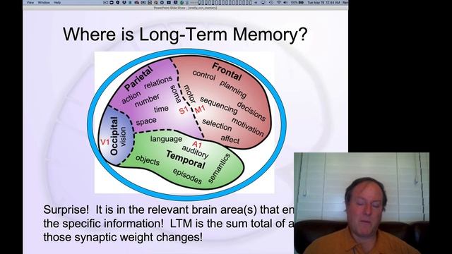 CCN Course 2020, Memory 2: Memory in the Brain смотреть онлайн