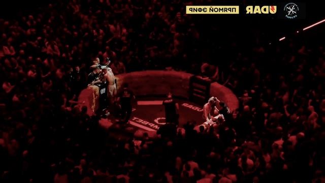 ОбЗор и ОтЗыв о СоРевновании Шиша - Калажоков в Top Dog 33 и Лучший Пёс 33. СКК "Вместе" смотреть онлайн