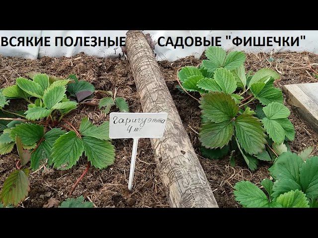 Полезные "фишечки" :) смотреть онлайн