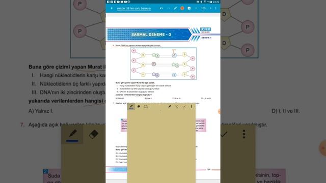 SARMAL DENEME-3 SORU-6 смотреть онлайн