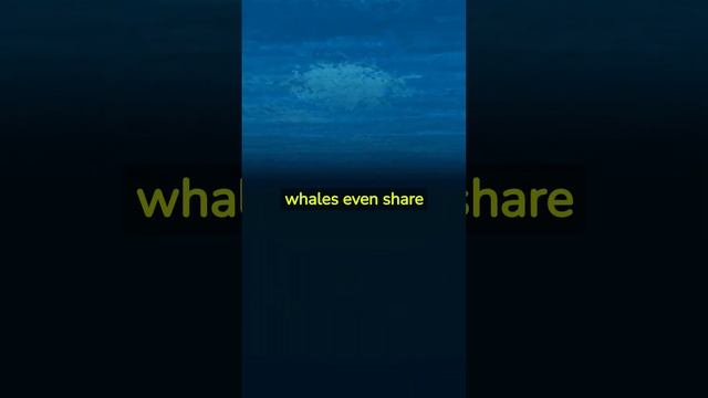whale #nature #animal #animaldocumentary #animals #animalfacts смотреть онлайн