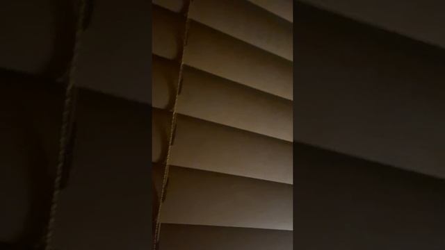 Strange screaming in the night. смотреть онлайн