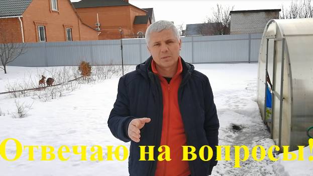 КЛЮКВА, ОТВЕЧАЮ НА ВОПРОСЫ !!! смотреть онлайн