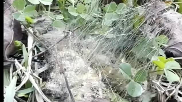 Инопланетяне НЛО Дроны UAP, FOG, Пожары в Лос-Анджелесе химический туман над Европой и Америкой