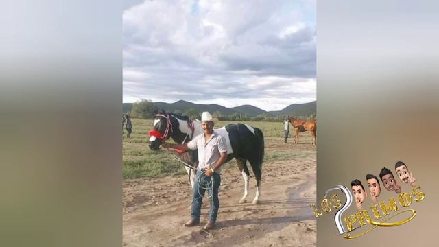 🔥El Azteca 🐎🔥 - Los 2 Primos de Tula Tamaulipas смотреть онлайн
