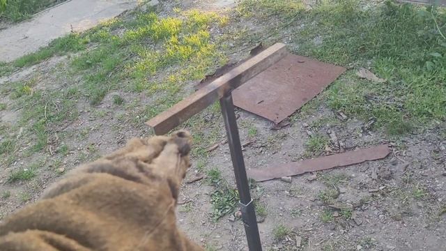 Эта самоделка ОБЛЕГЧИТ работу В НЕСКОЛЬКО РАЗ смотреть онлайн