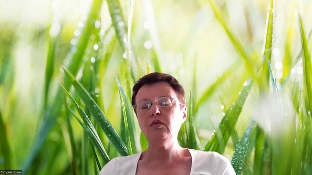 264 день - Гуру Рам Дас смотреть онлайн