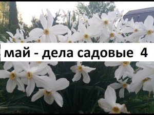 Май - дела садовые.Серия №4