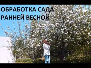 Обработка сада ранней весной.