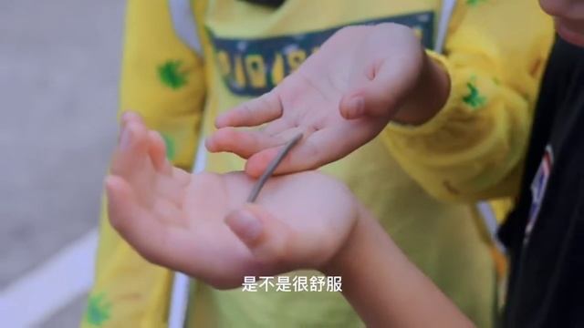 #好样说虫子 马陆，一种有很多脚的虫子。#爬虫 #马陆 #千足虫 смотреть онлайн