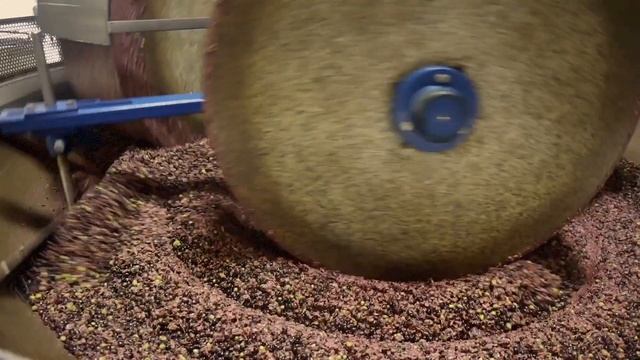 Olive Milling at the Olivino olive mill at Terra Sávia Winery in Hopland смотреть онлайн