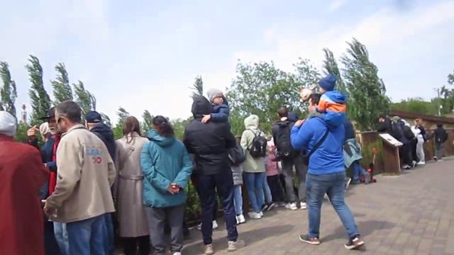 26.05.2024 В Казанском ЗООПАРКЕ MVI 4914 смотреть онлайн