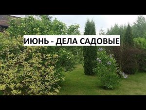 Июнь - дела садовые.