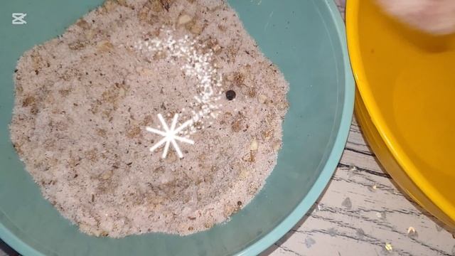 солим сало простым способом смотреть онлайн