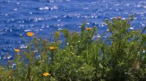 Очень Нежная, Трогательная, Изумительная музыка Для Расслабления! Достаточно просто послушать