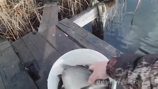 Рыбалка весной на фидер. На канале СУГРЭС. Хороший улов. смотреть онлайн