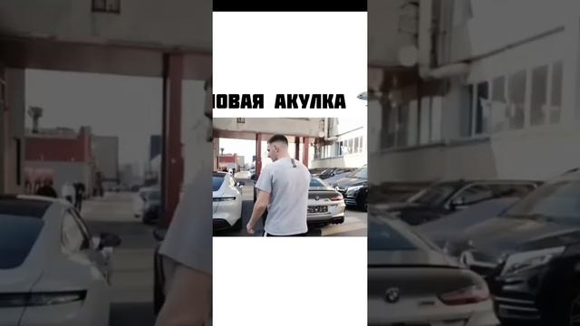«Новая акула» 1 часть смотреть онлайн