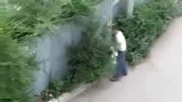 Бедный забор смотреть онлайн