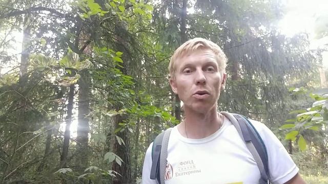 Разница между бытовой и спортивной дрессировкой смотреть онлайн