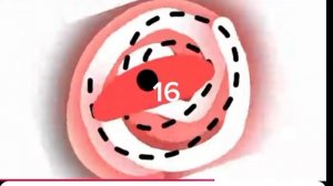 Mr. Sun Phases 1 to 100