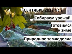 Сентябрь 2022 №2. Осень в природном земледелии. Собираем урожай и готовимся к зиме.