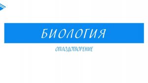 10 класс - Биология - Оплодотворение