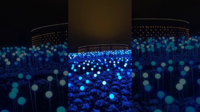 парк Галицкого Краснодар со снегом ! цветочная новогодняя клумба из гирлянд смотреть онлайн