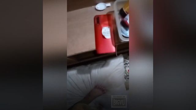 Hunt Camera Game смотреть онлайн