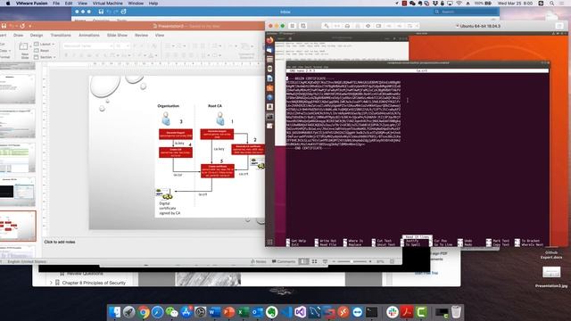 4.Using Private CA Certificate (OpenSSL) to configure HTTPS-CISSP Domain 3 смотреть онлайн