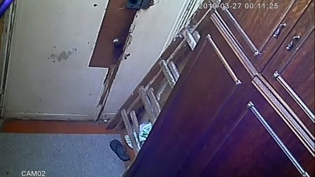 Ерналоб на предмет соответствия смотреть онлайн