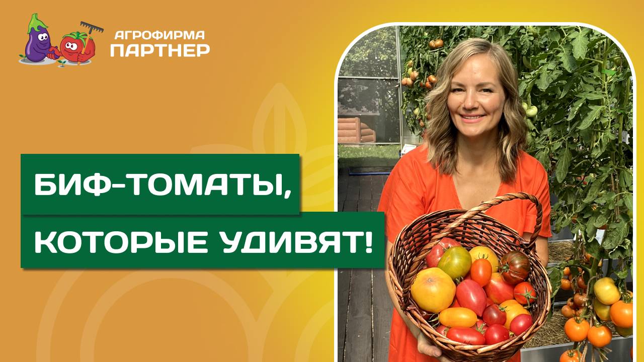 ВЗРЫВ ФРУКТОВОГО ВКУСА БИФ-ТОМАТЫ, КОТОРЫЕ ВАС УДИВЯТ! смотреть онлайн