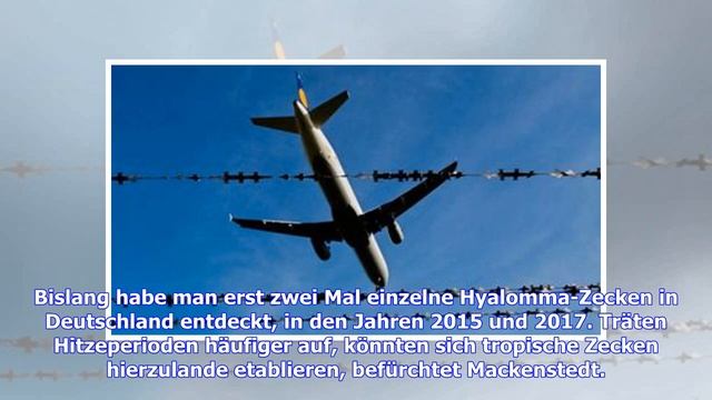 Sieben Tropen-Zecken in Deutschland entdeckt смотреть онлайн