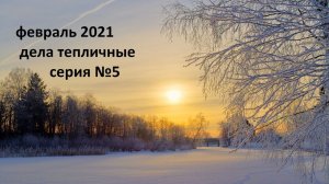 Февраль 2021 дела тепличные №5