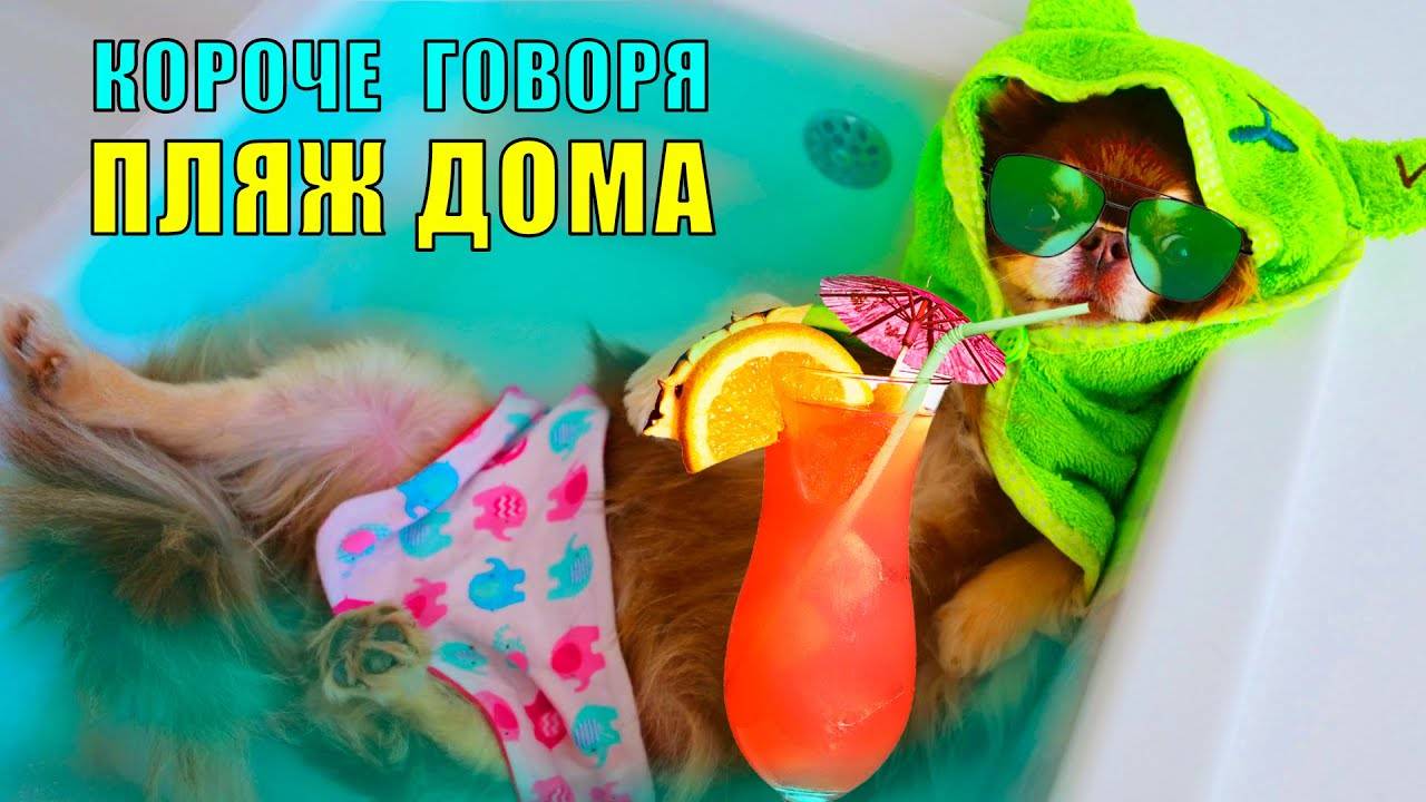КОРОЧЕ ГОВОРЯ, КАРАНТИН 2! КАНИКУЛЫ ГЛАЗАМИ КОШКИ И СОБАК ДОМА смотреть онлайн