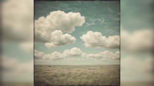 Screen recorder | #613