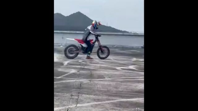 ARCTIC LEOPARD XT800 - Crazy ELECTRIC DIRTBIKE From CHINA!!